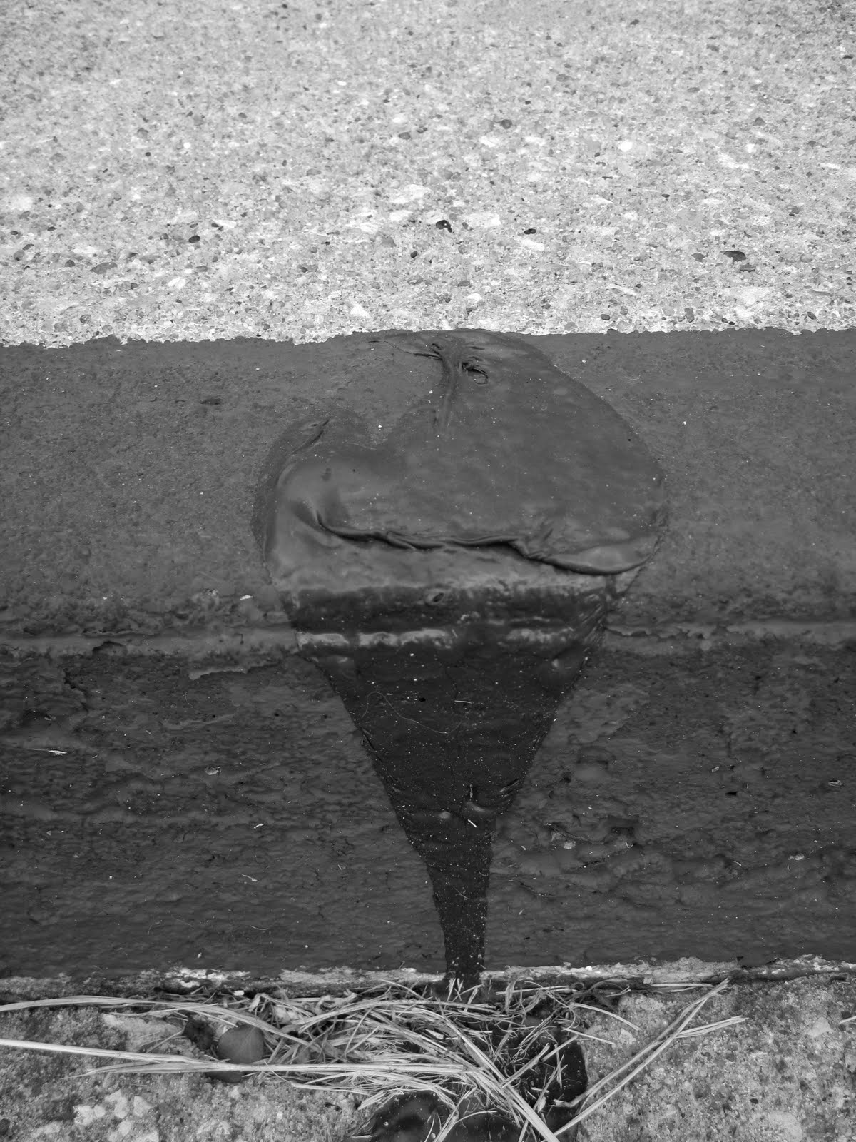 sqrt (Photos) Kansas is Hot in the Summer